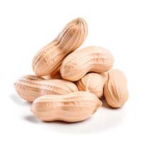 Whispeara Supplement L-Arginine